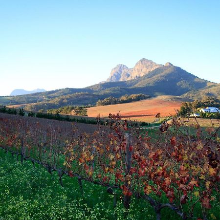 Marianne Wine Estate Bed & Breakfast Stellenbosch Exterior foto