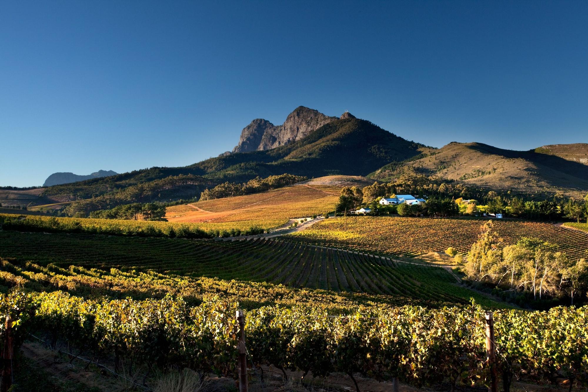 Marianne Wine Estate Bed & Breakfast Stellenbosch Exterior foto
