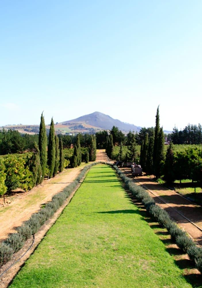 Marianne Wine Estate Bed & Breakfast Stellenbosch Exterior foto