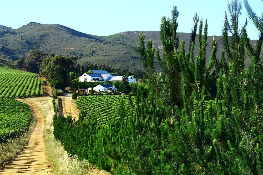 Marianne Wine Estate Bed & Breakfast Stellenbosch Exterior foto