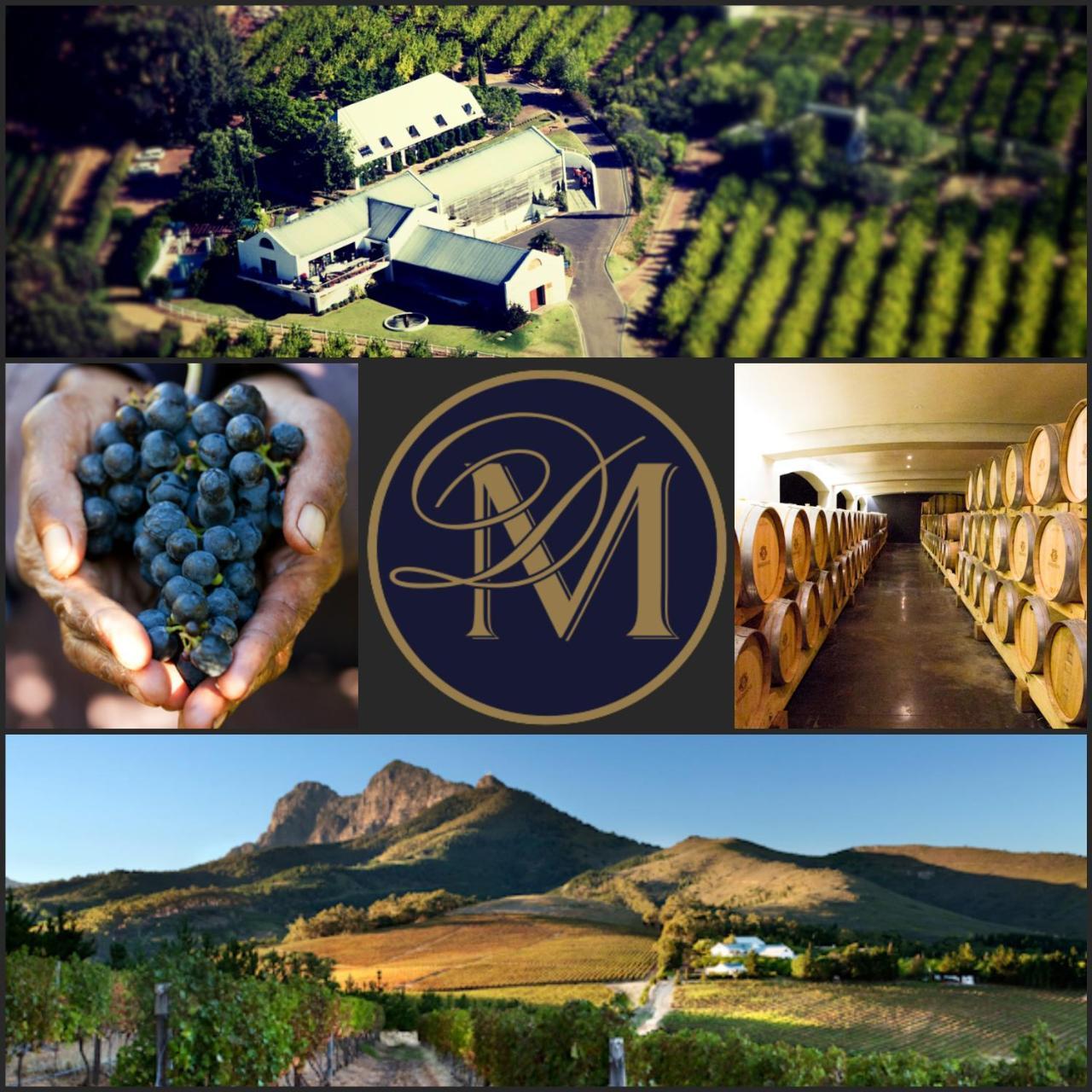 Marianne Wine Estate Bed & Breakfast Stellenbosch Exterior foto